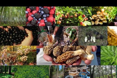 Image: 2018-08/imagequilt-2018-20-08-at-6.02.35-am.png